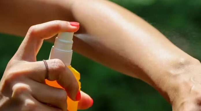 Por qué hay una invasión de mosquitos y cuáles son los métodos repelentes más efectivos