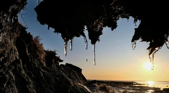 Qué riesgos globales implica la liberación de virus ancestrales por el cambio climático