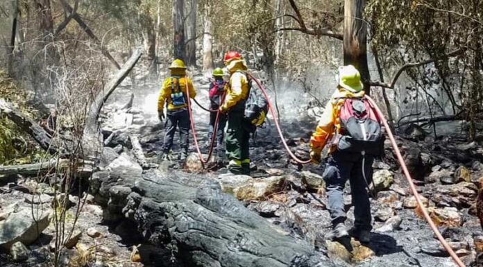 Con una guía de colores, el SMN lanzó un índice de “peligro de incendios”