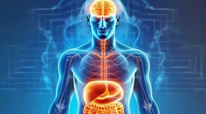 Quién es el experto argentino que impulsa una nueva medicina: “Sanando la microbiota intestinal se pueden curar más de 90 enfermedades”