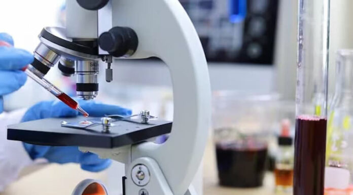 Cómo es el test que permitiría diagnosticar la enfermedad de Alzheimer con solo una gota de sangre