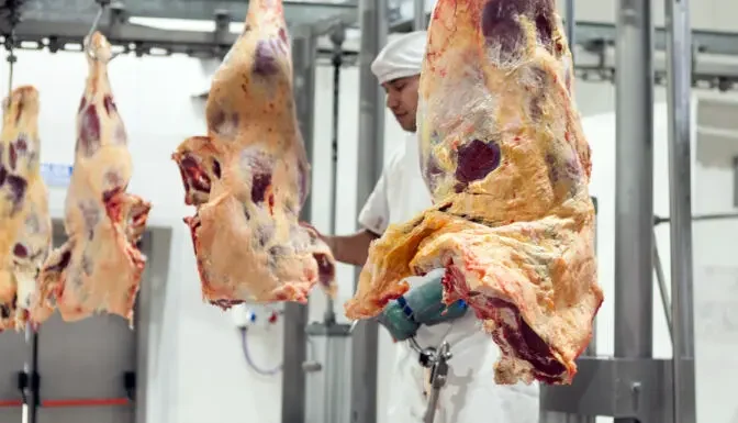 El Gobierno autorizó a exportar los 7 “cortes populares” de carne que estaban prohibidos