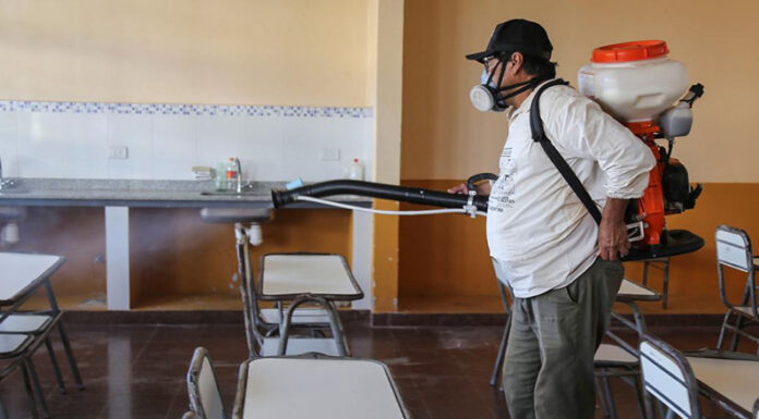 Desde el Conicet afirman que en la Argentina aumentaron un 2500% los casos de dengue