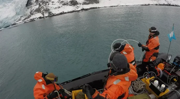 Un problema de tamaño y de cantidad: descubren altas concentraciones de microplásticos en la Antártida