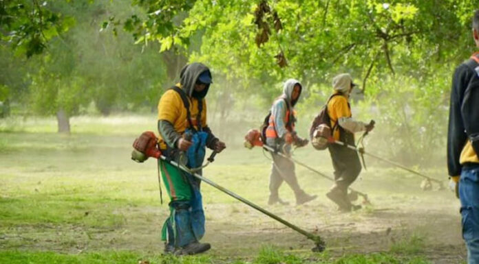 El dengue sigue en aumento en la provincia y ya hay 13 municipios con brotes declarados