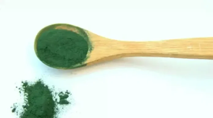 Cuál es el alga que brinda beneficios para la salud y fue reconocida por la OMS como el alimento para el futuro