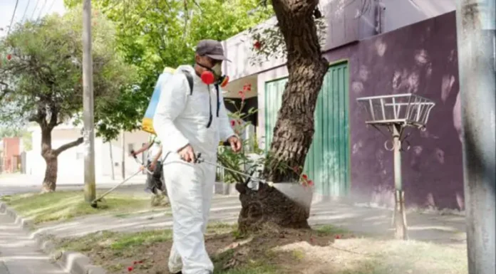 Dengue: para la Provincia es la epidemia “más grande de la historia del país”