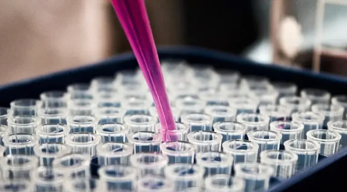 Un tratamiento corto evita la transmisión de Chagas durante el embarazo