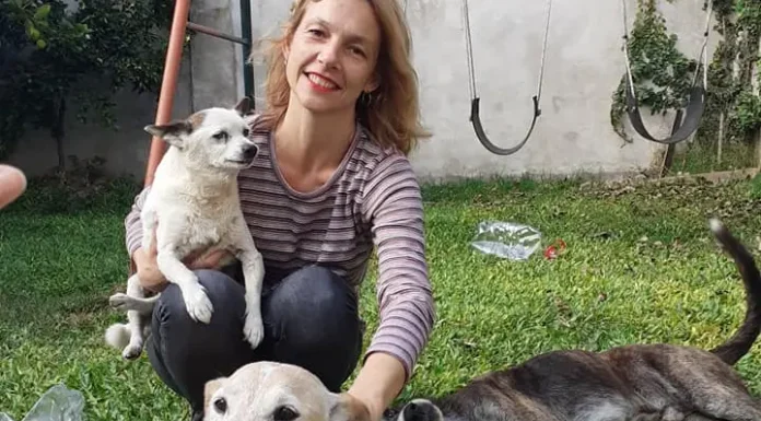 Perros y gatos felices: Después de muchos años de lucha se logra que el municipio realice una campaña de castraciones gratis