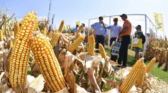 Todo listo para la edición 2024 de Expoagro en San Nicolás