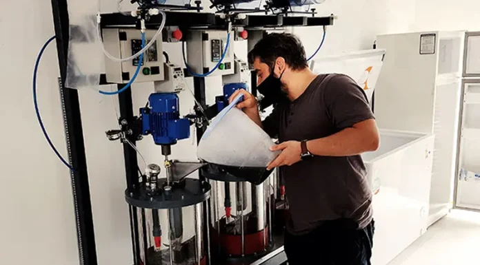 Logran incrementar la producción de un hongo comestible y generar biogás empleando los desechos de las cervecerías artesanales