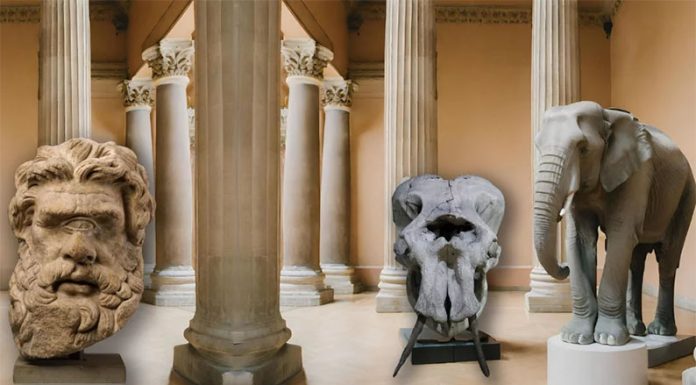 De los mitos griegos a los remedios caseros: ¿qué rol cumplían los fósiles para los pueblos originarios?