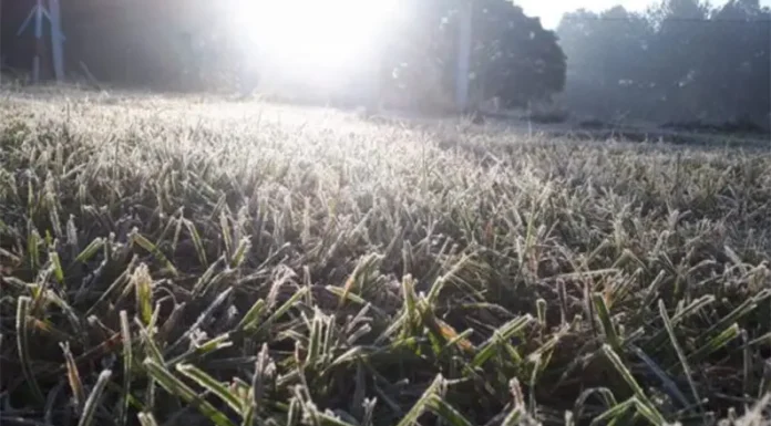 Anticipan pocas lluvias y temperaturas bajas para los próximos meses en la provincia