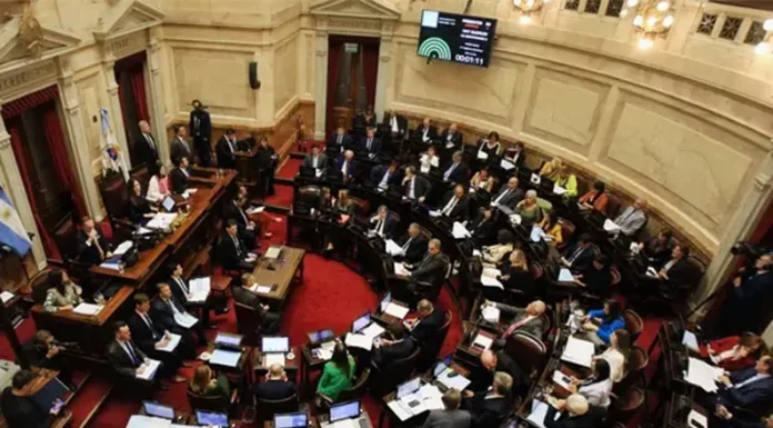 Ley Bases: cuáles son los puntos de conflicto que podrían trabar la aprobación en el Senado