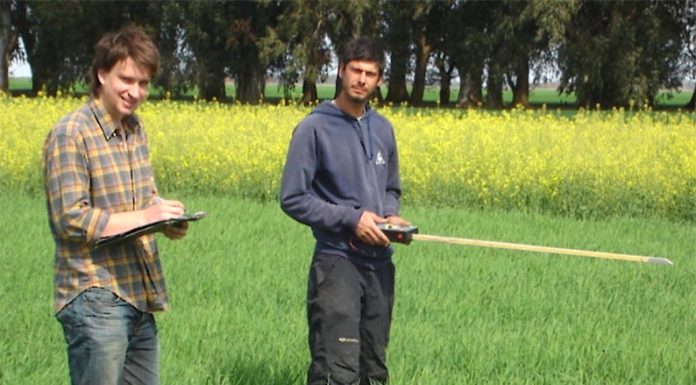Con rotaciones intensivas, logran más rendimiento y proteína en soja