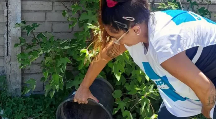 Dengue en la provincia: caen los casos y dos municipios dan por finalizado el brote