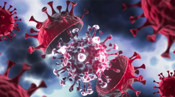 La pandemia de Covid-19 redujo la esperanza de vida a niveles equivalentes a 2012