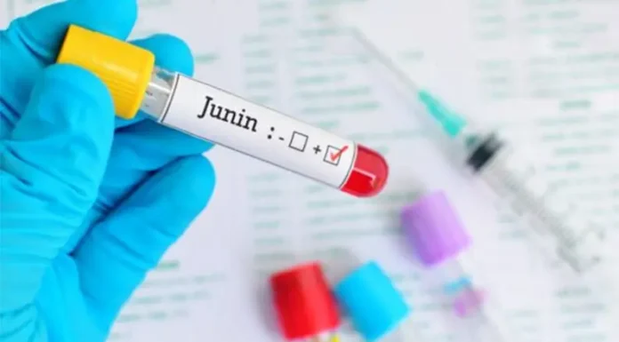 Fiebre Hemorrágica Argentina: vacuna, formas de contagio y cómo donar plasma luego de pasar la enfermedad