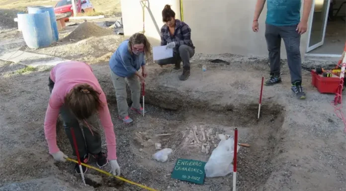 Hallan los restos humanos más antiguos de la Patagonia