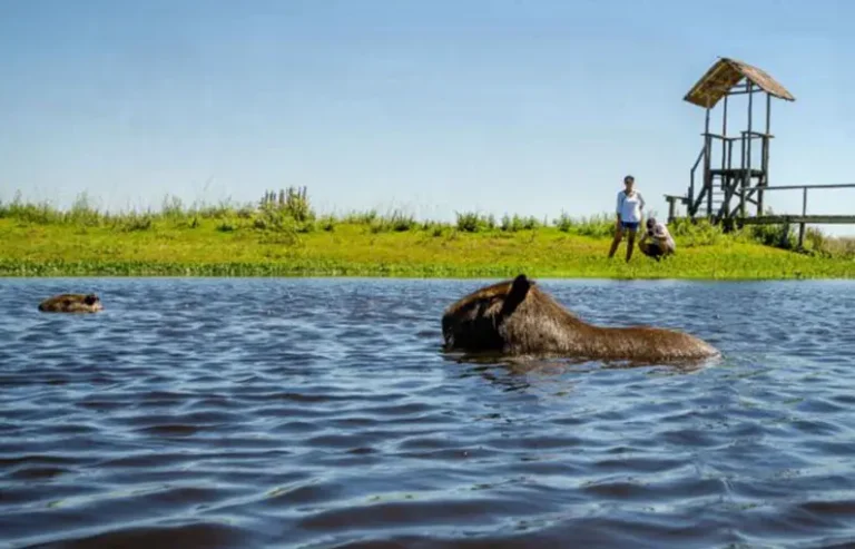 Entre los 100 mejores lugares para conocer: Un hotel porteño y un destino de Argentina, los elegidos por Time