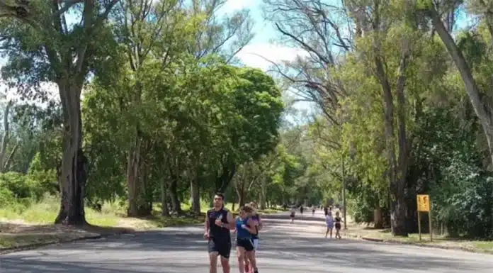 Aumento del sedentarismo: una “amenaza silenciosa para la salud mundial”