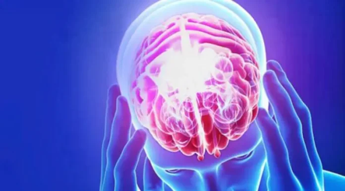 Científicos argentinos identificaron los mecanismos biológicos para la recuperación de recuerdos