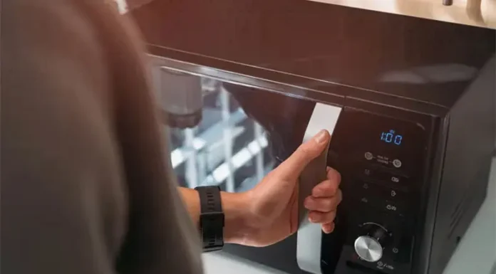 El inesperado microbioma de los microondas: la radiación no mata todas las bacterias