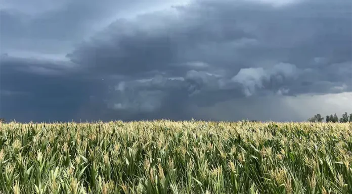 “Se expande”: las chances de La Niña siguen muy altas, pero hay un dato que puede dar la sorpresa