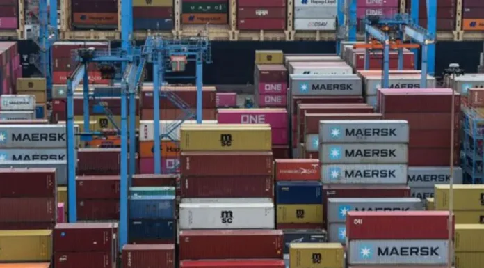 Pymes: las exportaciones crecieron 21,6% en lo que va del año, con alimentos sin procesar a la cabeza