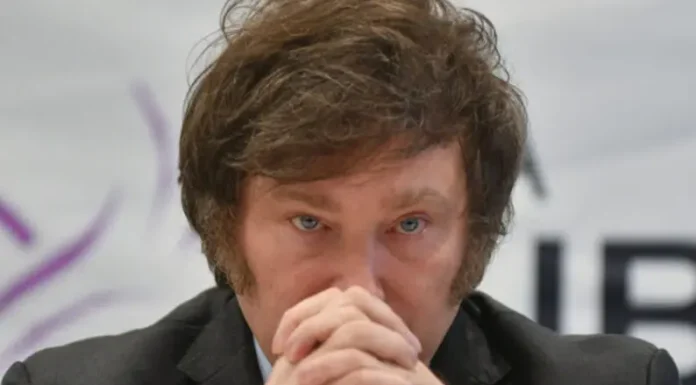 “Veto total”: Milei ya definió qué hará con la ley de financiamiento universitario