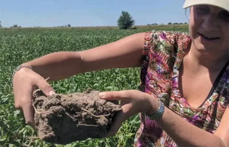 Con agroecología, mejoran la salud de los suelos