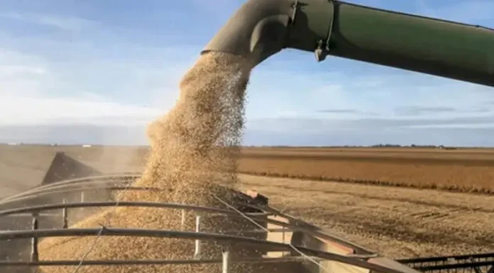 Las exportaciones de la provincia subieron un 9,4% en el primer semestre, según el Indec