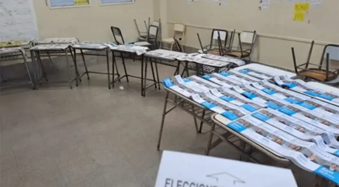 El Gobierno de Milei apunta eliminar las PASO