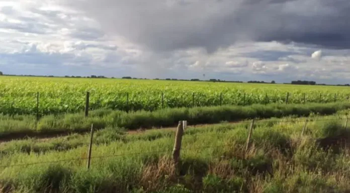 Clima: la provincia de Buenos Aires estará pasada por agua durante todo el fin de semana