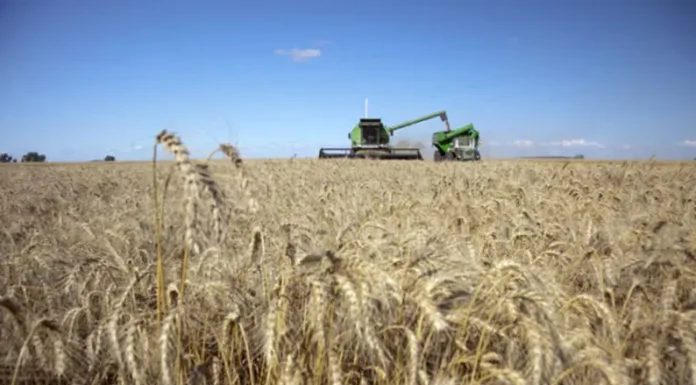 Las lluvias mejoraron las perspectivas del campo en toda la provincia