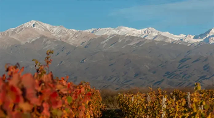 Seis bodegas argentinas fueron elegidas entre las 50 mejores del mundo, por un prestigioso ranking internacional