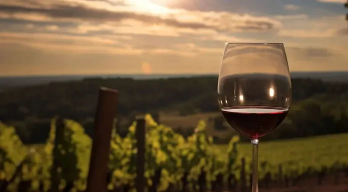 Día Nacional del Vino: diez recomendaciones para brindar en esta fecha