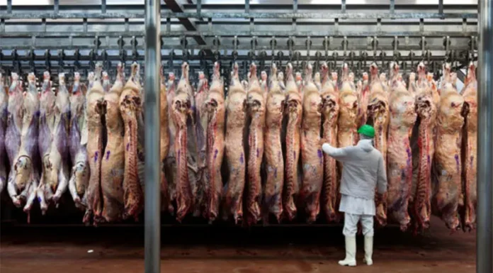 Carne vacuna: las exportaciones alcanzaron la cifra más alta de los últimos 57 años