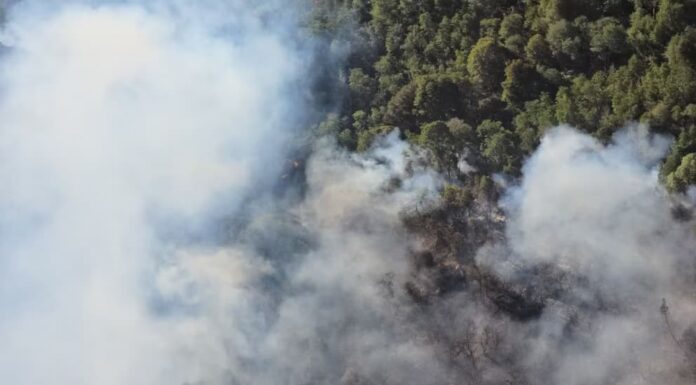 Fuego sin control en el Parque Nacional Nahuel Huapi: las llamas ya consumieron más de 1.450 hectáreas