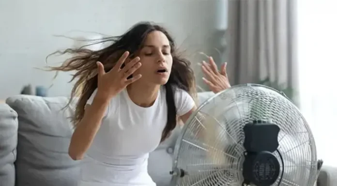 Cortes de luz en verano: los 6 factores de alivio que miran el Gobierno y las empresas de energía