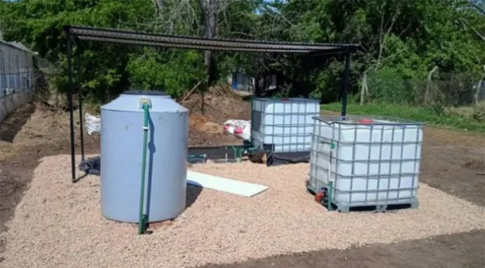 Desarrollan un novedoso biofiltro para mejorar la sustentabilidad del agro