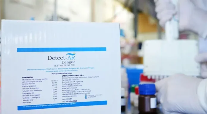 Dengue: cómo funciona el nuevo test de fabricación nacional que permite detectar casos de manera rápida