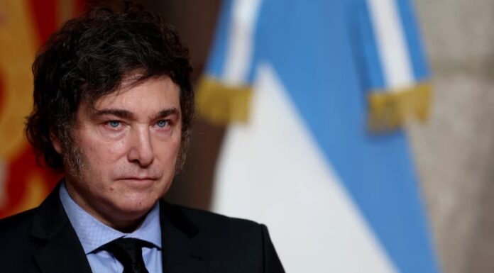 Desregulaciones, reforma laboral, privatizaciones y no más de seis impuestos, las metas para 2025