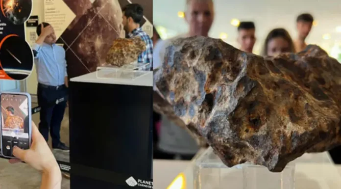 El Planetario de la UNLP presentó el fragmento de un meteorito proveniente de Campo del Cielo