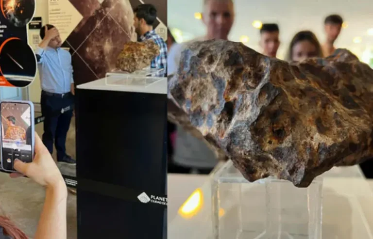 El Planetario de la UNLP presentó el fragmento de un meteorito proveniente de Campo del Cielo