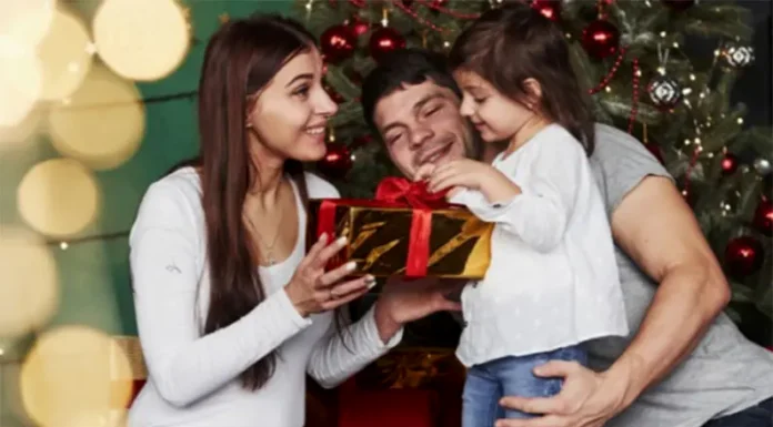 Promos de Navidad: 12 cuotas sin interés en el portal Provincia Compras y hasta 30% de descuento