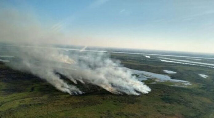 Calor: advierten sobre “peligro extremo” de incendios en las islas del Delta