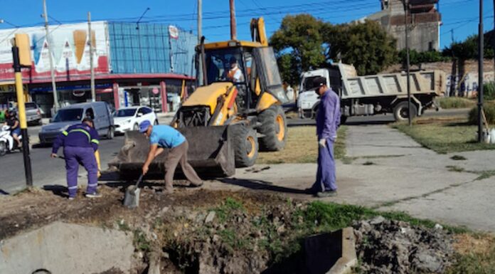 En Zárate, realizan tareas de limpieza, mantenimiento y están reparando el Camino de Tránsito Pesado