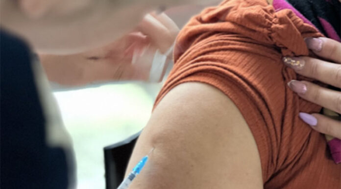 Dengue: Salud envió una nueva tanda de turnos para la segunda dosis de la vacuna