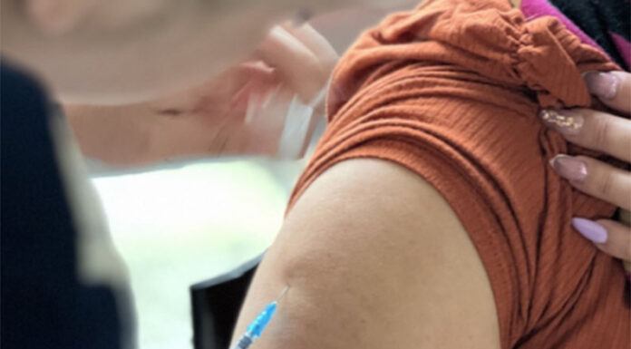 Salud envió una nueva tanda de turnos para vacunarse contra el dengue: cómo acceder